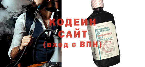 амф Гусь-Хрустальный