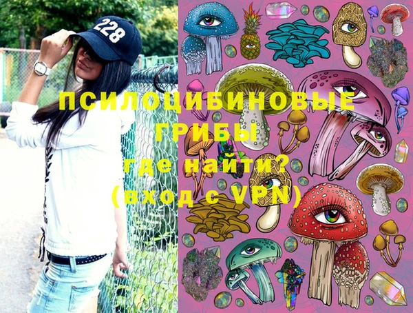 амф Гусь-Хрустальный