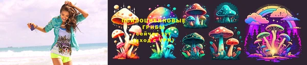 амф Гусь-Хрустальный
