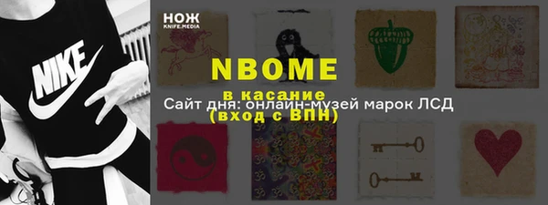 амф Гусь-Хрустальный