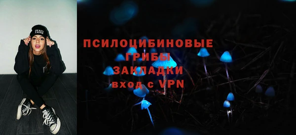 амф Гусь-Хрустальный