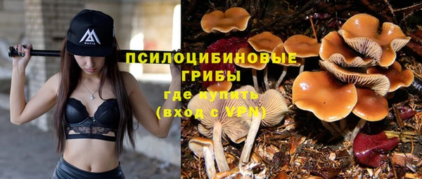таблы Гусиноозёрск