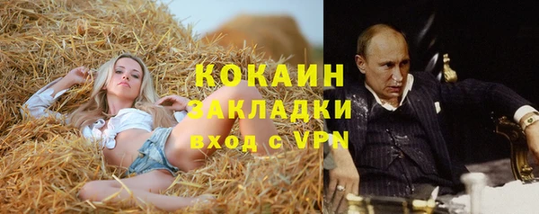 амф Гусь-Хрустальный