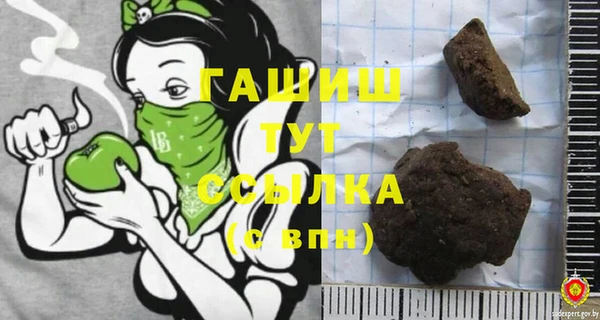 амф Гусь-Хрустальный