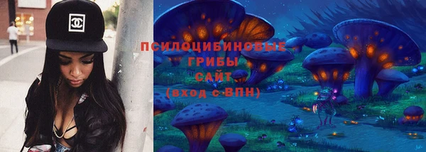 амф Гусь-Хрустальный