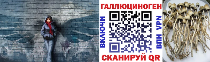 Галлюциногенные грибы ЛСД  Купить закладки  Каспийск 